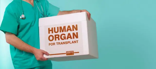 organ donation