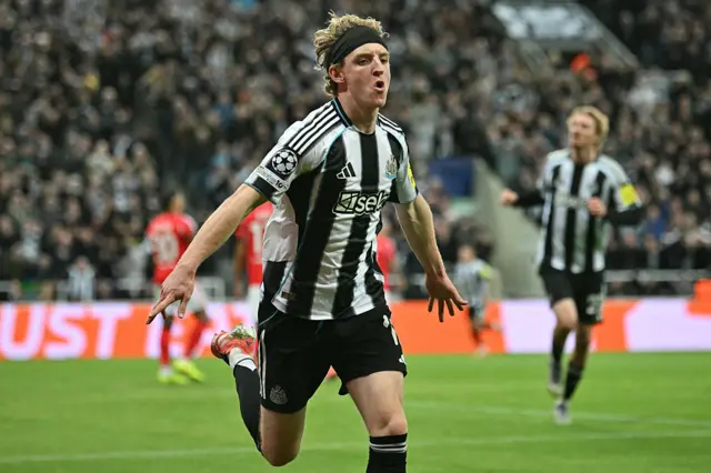 Anthony Gordon celebrates scoring