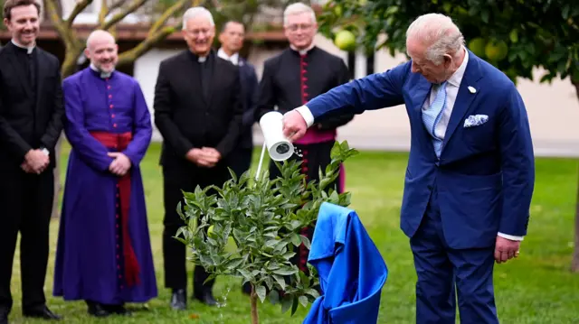 King Charles waters an orange tree with a small white watering can