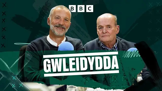 Gwleidydda