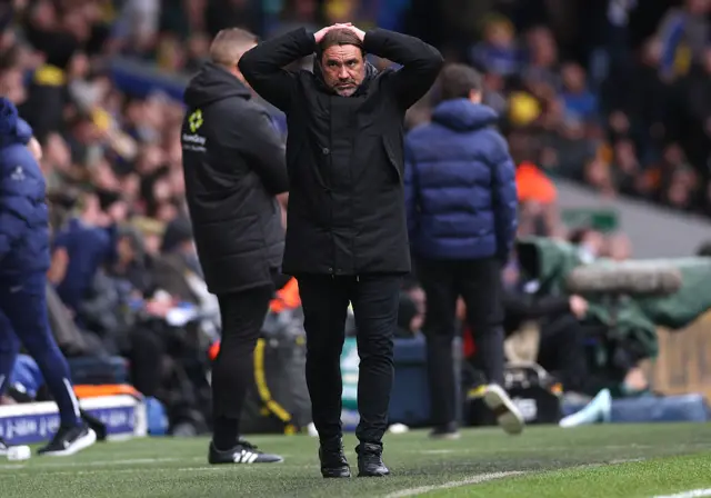 Daniel Farke with his hands on his head