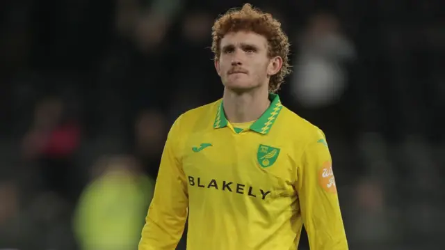 Norwich striker Josh Sargent