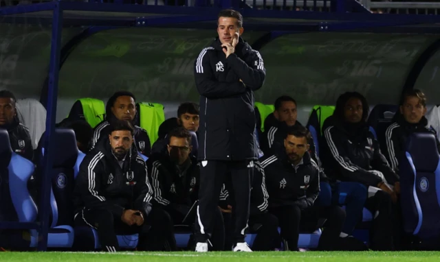 Fulham manager Marco Silva during the match