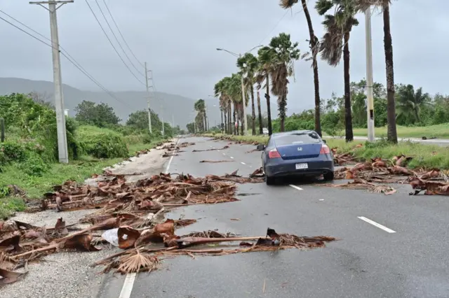 Palm fronds blown down by wind seen strewn around the roadway