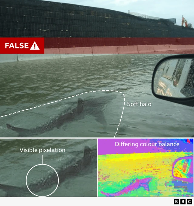 A graphic analysing the fake shark image, which shows it swimming in floodwaters on a road where a car wing mirror is visible. It highlights visible pixelation on the tail, a different colour balance from the rest of the image and a soft halo around the shark compared to most of the water.