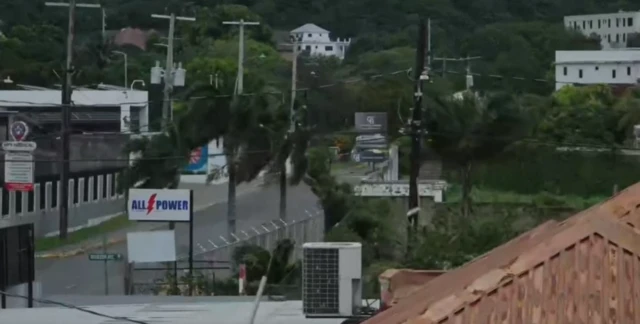 Palm trees on a road sway in the wind