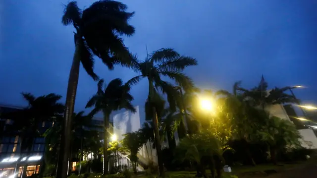 Palm trees sway amid strong winds and storm