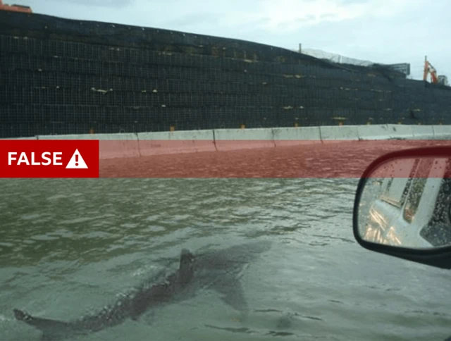 A fake picture showing a shark swimming in floodwater on a road, a car wing mirror can be seen in the right of the image next to the shark