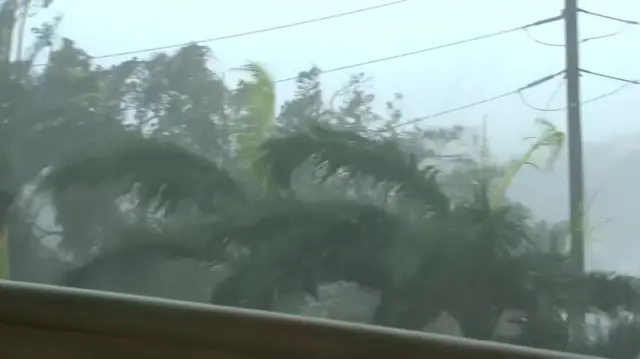 Pylons and trees, Montego Bay