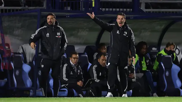 Fulham boss Marco Silva on the touchline