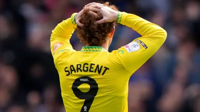 Norwich striker Josh Sargent