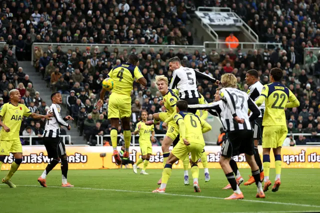 Fabian Schaer of Newcastle United scores his team's first goal