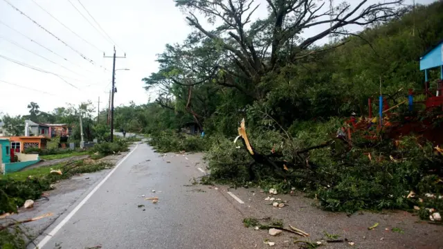 Broken trees lay across a street in Jamaica