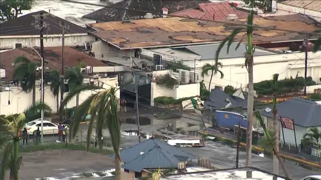 Destroyed buildings and shattered palm trees in Montego Bay, Jamaica