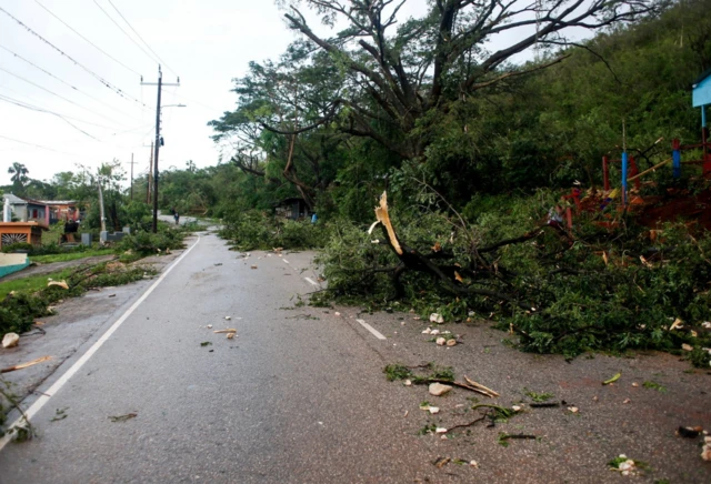 Broken tree branches lie on the street