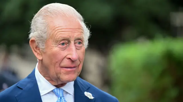 A headshot of King Charles, the background is slightly blurred