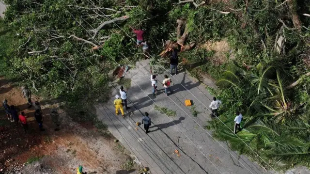 An overhead shot of people on a road - trees have fallen down and are blocking the way