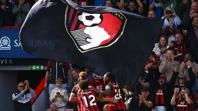 Bournemouth players and fans celebrate a goal