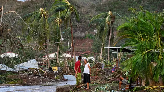A man and woman stand in the middle of a vast area covered with trees and foliage. Damage to much of the area with trees blown over and debris strewn on the floor.