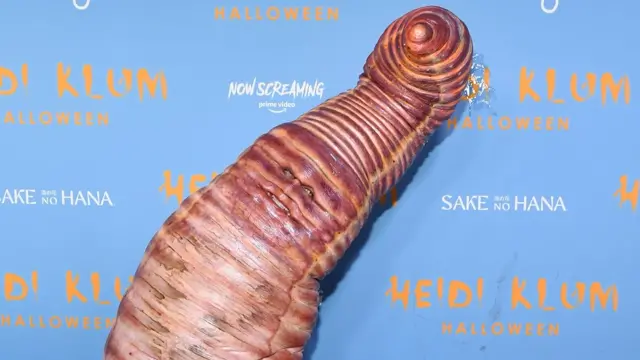 Klum dressed in a life-like worm, with her eyes and mouth visible
