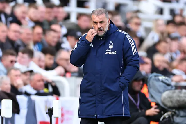 Ange Postecoglou looks on
