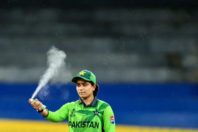 Fatima Sana sprays insects