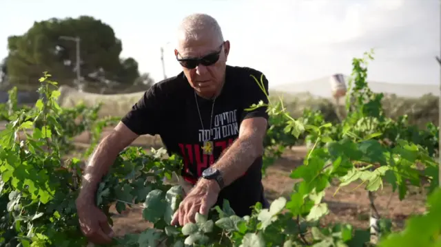 Man in black t shirt and sunglasses rummaging through leafy vineyard
