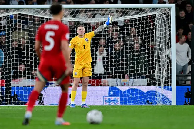 Jordan Pickford looks on