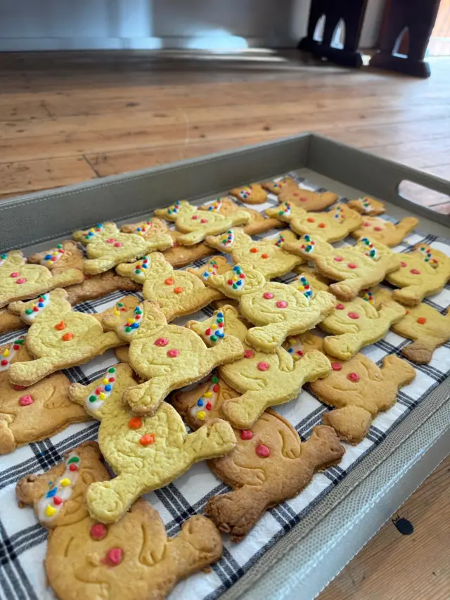 Pudsey Cookies at Tarset Village Hall