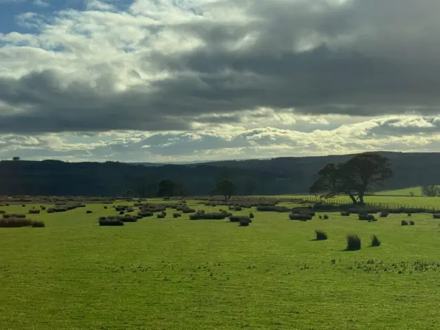 Natural scenery of a field with a prominent tree by fencing with hills in the background.