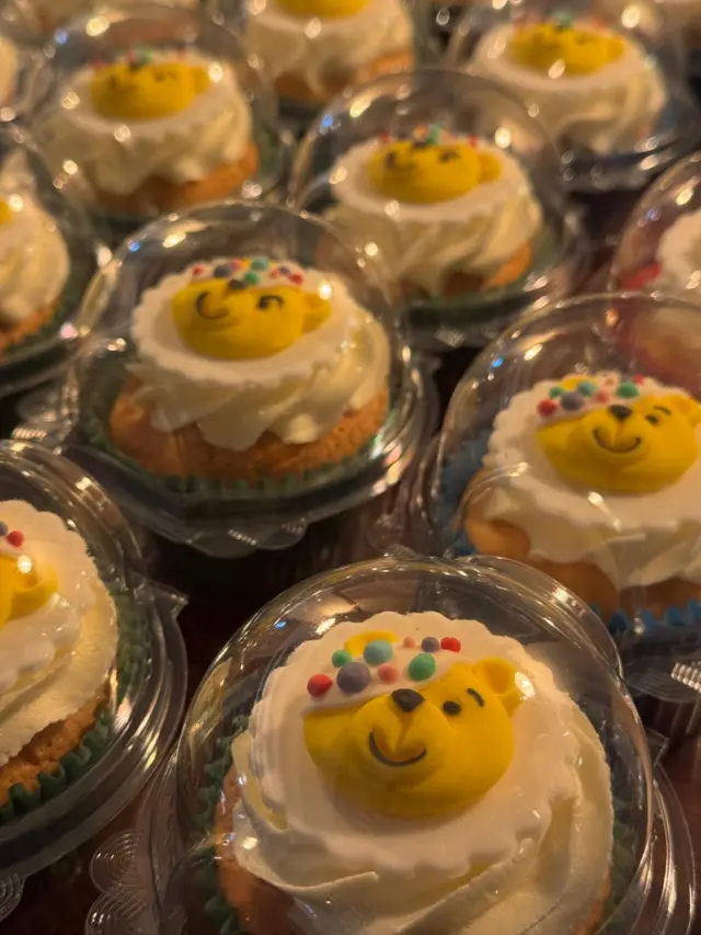 Pudsey cakes