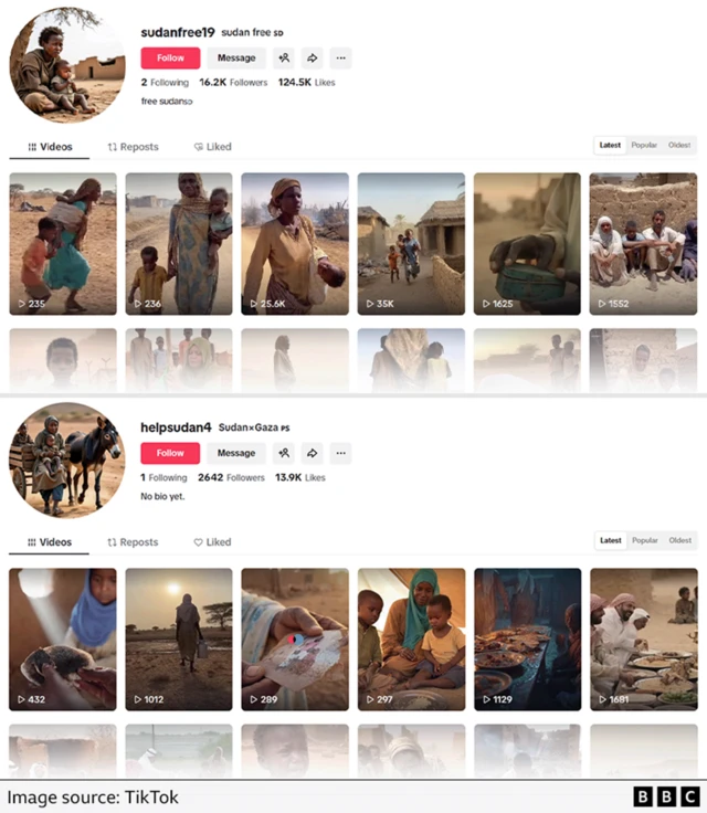 A screengrab of the two TikTok accounts