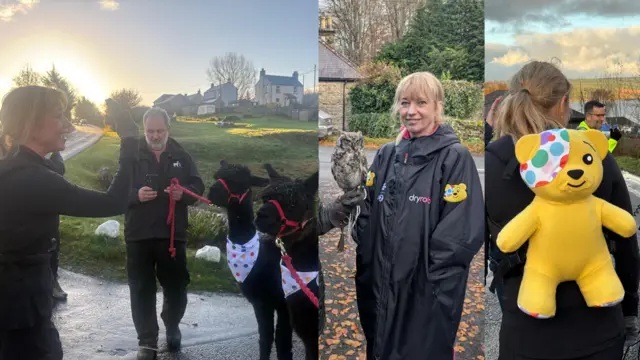 Sara with alpacas, owls, and wearing the Pudsey rucksack