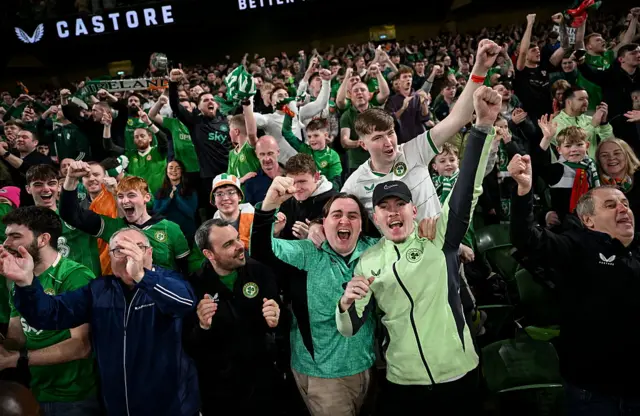 Celebrating Irish fans