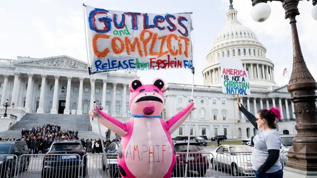 A protester outside Congress on Wednesday wore a pink frog costume as he called for the Epstein files to be released
