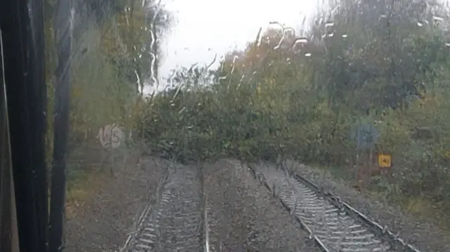 A tree blocking a railway line seen through a window streaked with rain