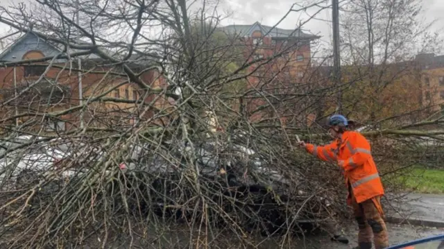 A man in an orange coat and blue hat looking at a big pile of branches on the ground