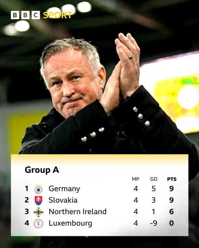 Northern Ireland manager Michael O'Neill