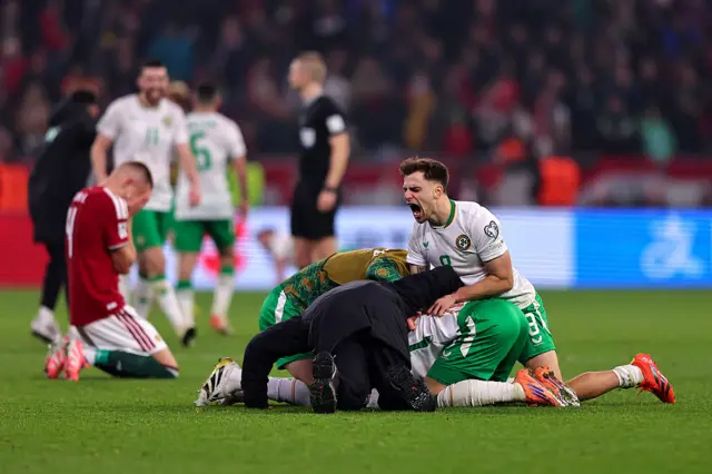 Republic of Ireland celebrates
