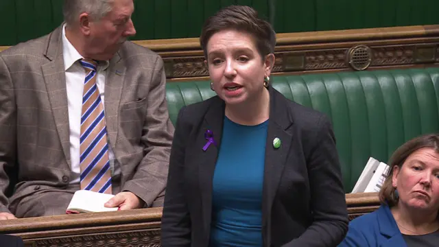 Carla Denyer speaking in the House of Commons