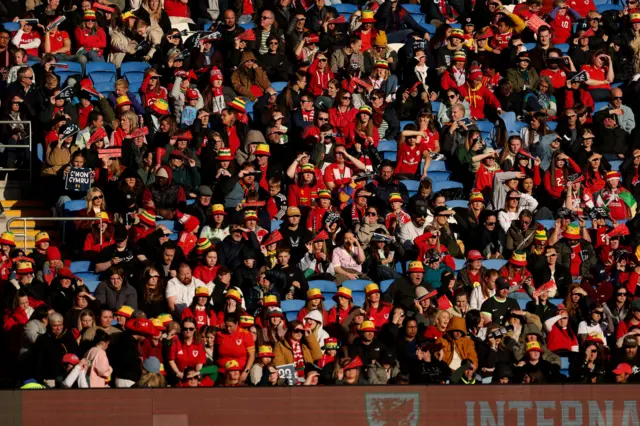 Wales fans