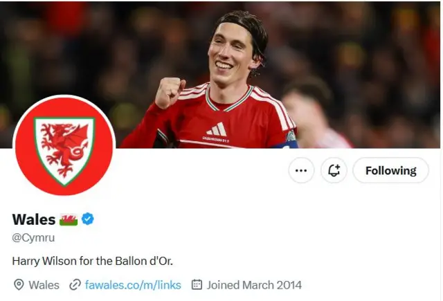 Harry Wilson celebrates in the @Cymru bio pic