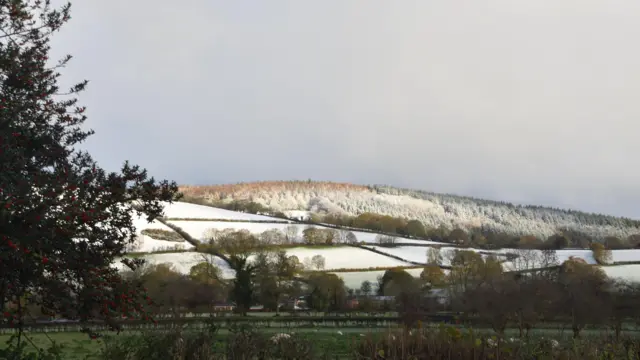 Snow and frost cover the fields and trees on a hill, while fields and trees which are lower down in the foreground remain green and without snow