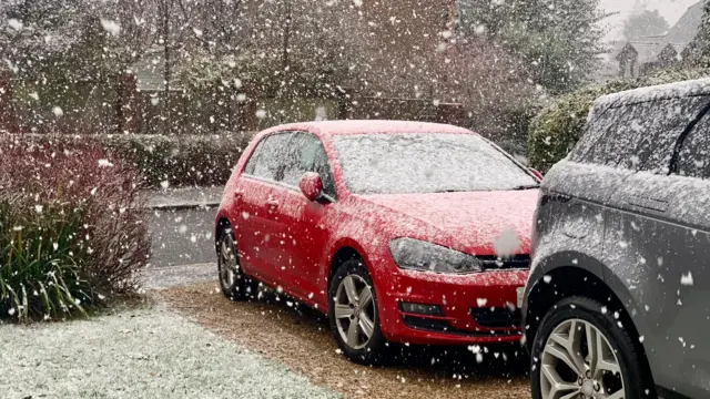 Snow falls on two cars in a driveway. A little bit of snow is settling, but not enough to completely cover the ground