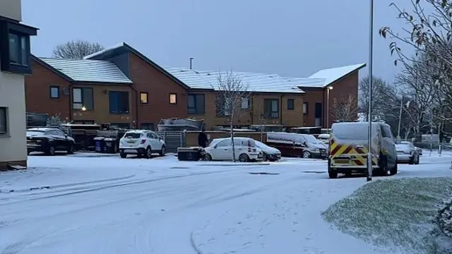 Picture of a driveway covered in snow with some cars lightly dusted in snow