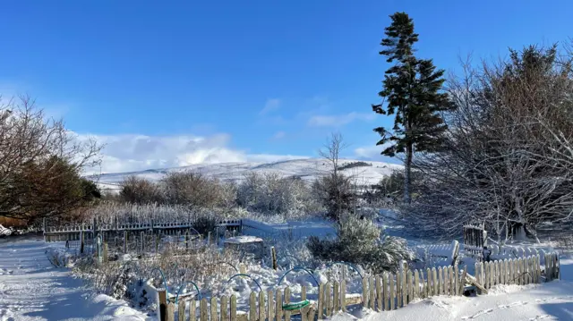 A garden covered in snow, there are mountains in the background