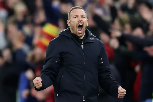 Wales manager Craig Bellamy