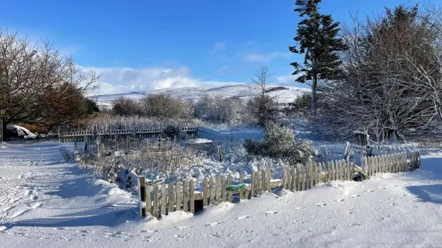 Garden covered in snow in Lumsden in Aberdeenshire. Some paw prints are visible and trees are in the background.