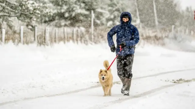 A person walking their dog in the snow