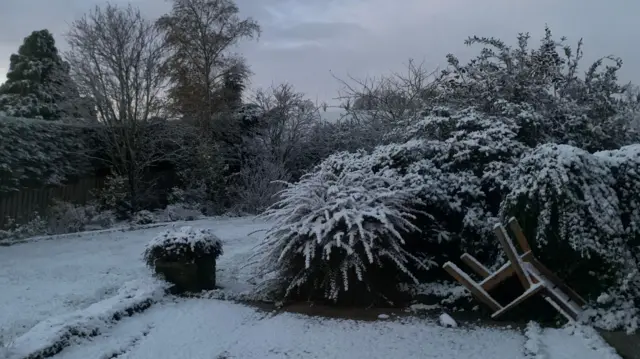 A snow covered garden, featuring an overturned garden chair and bushes covered in snow